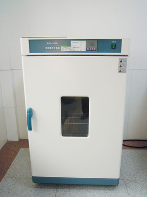 Equipamento do teste de laboratório, forno de secagem da explosão Eletro-térmica